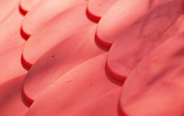 Drynoch plastic roof costs